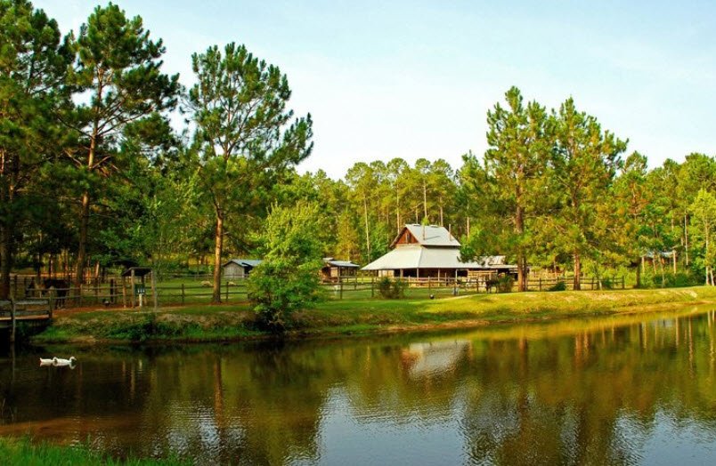 General Coffee State Park, Georgia, USA